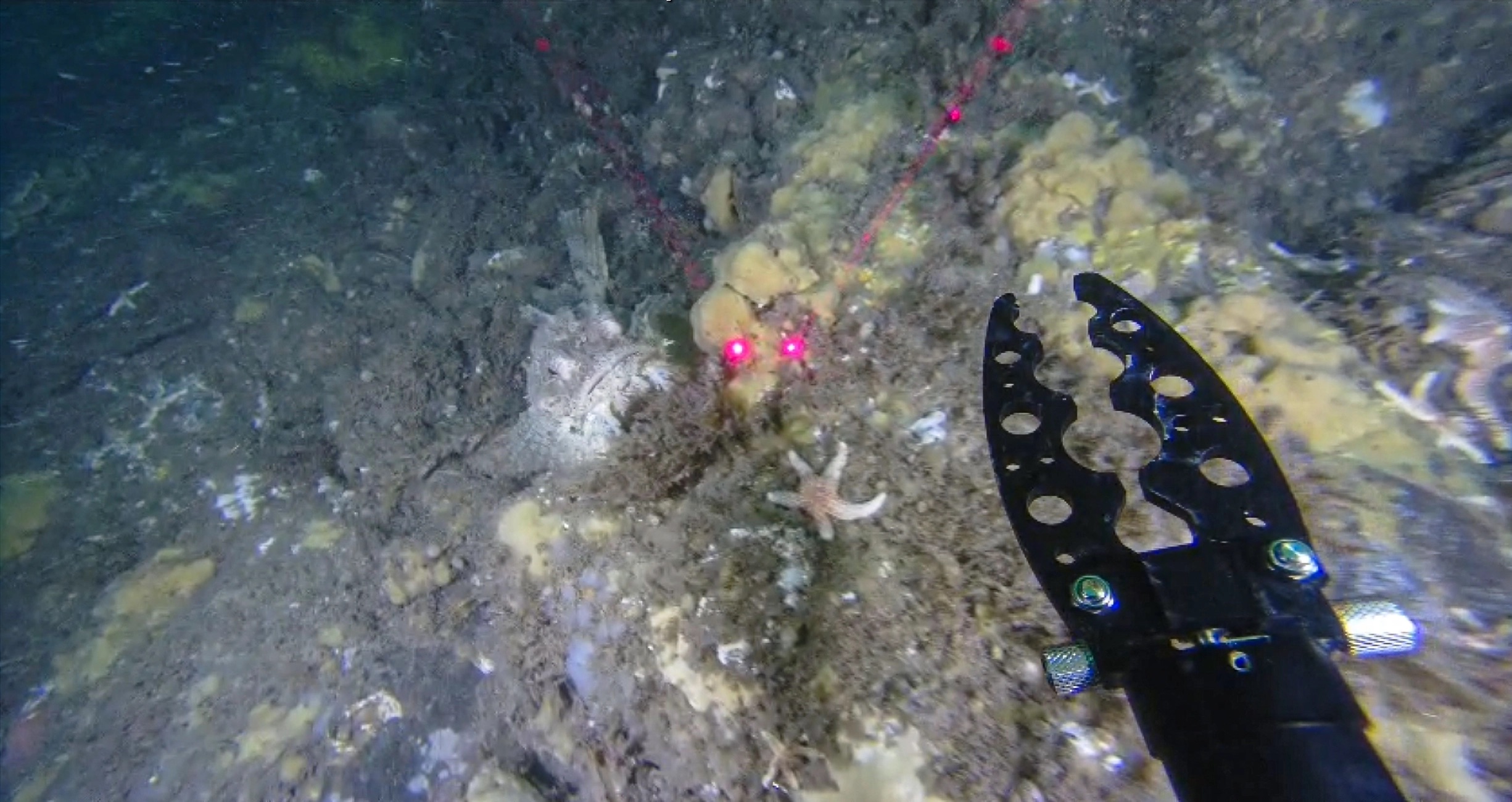 Deep Trekker ROV in operation